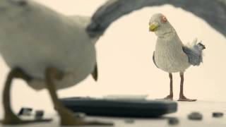 Metronomy Seagulls [upl. by Artinak]