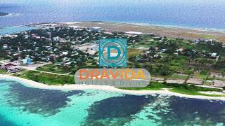 Beautiful Maamigili  Home of Dravida Hotels [upl. by Julia]