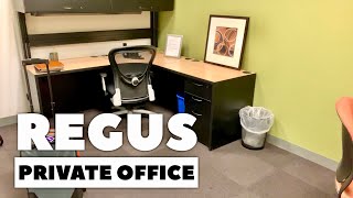 Renting a Private Office at Regus Virtual Offices in Downtown Denver Colorado [upl. by Cutlor]