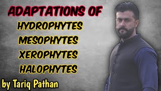 Chapter Homeostasis Hydrophytes  Mesophytes  Xerophytes  Halophytes Adaptations by Tariq Pathan [upl. by Naej]