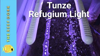 Tunze 8831 Owners Review A Refugium Light With a Party Trick [upl. by Ymmat]