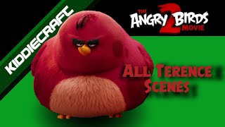 The Angry Birds Movie 2  All Terence Scenes 1640 subscriber special [upl. by Airitac101]