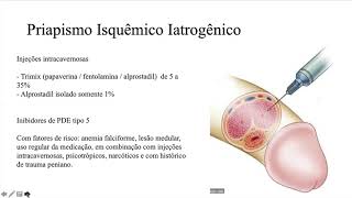 Priapismo mecanismo e definiçöes [upl. by Gradeigh]