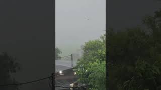 Rain Rain Beautiful Rain 🌧 music song love bollywood viral lovesong songviral [upl. by Uhsoj887]