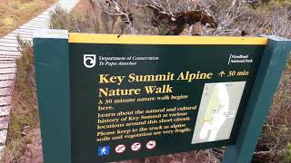 Kepler Track  The Divide  Key Summit  Fiordland National Park HD [upl. by Nita]