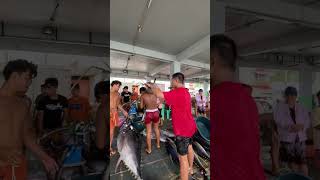 Dalawang dambuhala at iba pang tuna viral tuna trending fishing shorts youtubeshorts [upl. by Esch150]