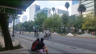 Paseo ciclista dominical 15 sept 2024 Paseo de la Reforma [upl. by Yt466]