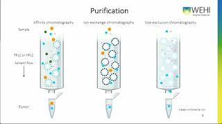 Protein Expression Webinar [upl. by Atnek]