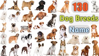 Dog Breeds Vocabulary ll 130 Dogs Breeds Names In English With Pictures ll 100 Popular Dogs [upl. by Eelrahs]