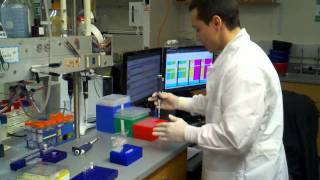 how to do a pcr reaction with DMSO using a master mix [upl. by Polish4]