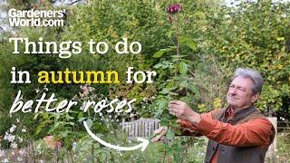 Autumn jobs for BETTER ROSES  Alans advice for things you should do for healthier roses [upl. by Johny190]