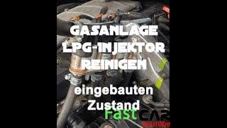 LPG Gasinjektoren reinigen  Gasanlage ohne Funktion  Injektoren eingebaut reinigen ANLEITUNG [upl. by Claiborne]