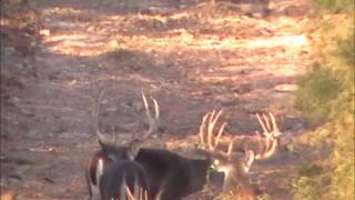 Mexico Monster Whitetails 20112012 Part I [upl. by Ellivro]