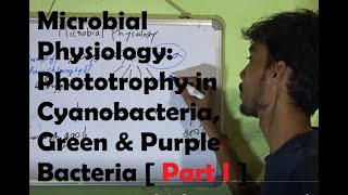 Microbial Physiology Phototrophy in Cyanobacteria Green and Purple Bacteria Part I [upl. by Eugatnom]