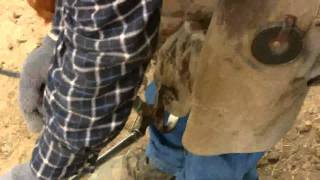 Is your Horse really flat footed  stall13com videos [upl. by Egidio]