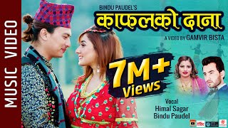 Kafalko Dana  New Nepali Song 2019  Himal Sagar Bindu Paudel Ft Paul Shah Aanchal Sharma [upl. by Sharon420]