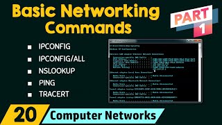 Basic Networking Commands Part 1 [upl. by Kassaraba]