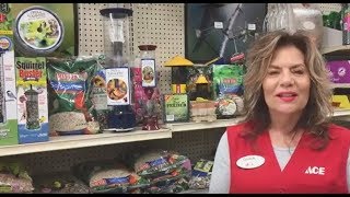 How To Get Started With Bird Feeding  Ace Hardware [upl. by Aleil278]