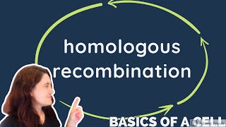 HOMOLOGOUS RECOMBINATION  in ENGLISH [upl. by Delainey]