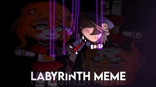 FNaF  LABYRINTH MEME  SISTER LOCATION [upl. by Rior]