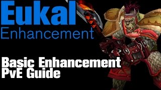 Vanilla Basic PvE Enhancement Shaman Guide [upl. by Wharton653]