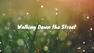 Walking down the Street  lofi  musiclover  MLMusicL6ver [upl. by Hajile]