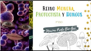 Reino Monera Protoctista y Hongos [upl. by Leinehtan]