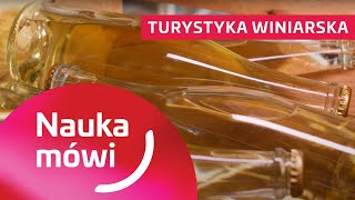 Turystyka winiarska  Nauka Mówi [upl. by Ariahs]