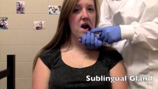 How to Palpate the Salivary Glands [upl. by Oconnor]