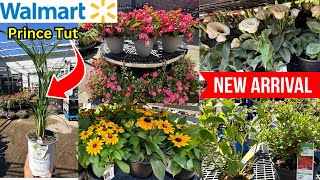 NEW WALMART FLOWERING SHRUBS TREES PERENNIALS TRELLISES Walmart Gardening Plants [upl. by Craw925]