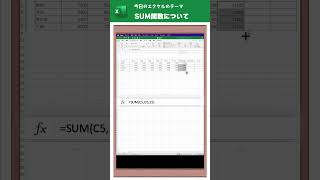 はじめてのエクセル 解説：SUM関数について [upl. by Virgil]