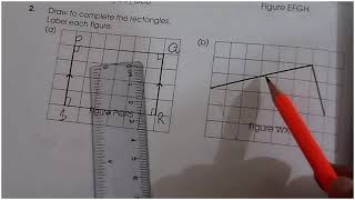 Drawing Squares and Rectangles  Class 5 Mathematics  Basic Education [upl. by Schaffer687]