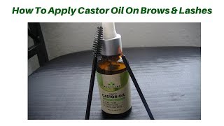 How To Apply Castor Oil On Brows amp Lashes [upl. by Serena]