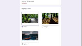 Votar un concurso de fotografía con google forms [upl. by Saunderson560]