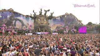 Tomorrowland 2011  Saturday [upl. by Morie513]