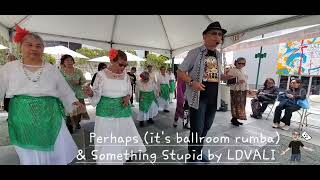 Perhaps its ballroom rumba to Something Stupid by LDVALI pistahansf [upl. by Htebaile]