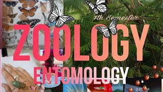 ZoologyEntomology 7th SemesterInsect collection foryou zoology entomology supportsubscribe [upl. by Inaej]