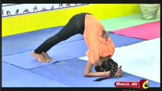 Dr Lakshmi Andiappans Yoga Therapy Program for Various Ailments 16 05 2013 [upl. by Kennedy]