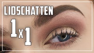 SO klappt es mit dem Lidschatten  Anfänger Guide  Lidschatten Tutorial Deutsch  Judy R [upl. by Edahs]