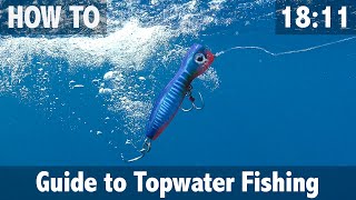 Guide to Topwater Fishing [upl. by Bilek164]