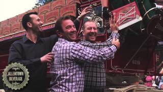 Budweiser Clydesdales In The Lehigh Valley [upl. by Sartin]