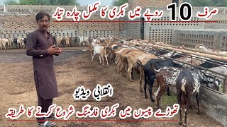 How to start Simple Goat Farming Bussiness in Pakistan [upl. by Simsar]