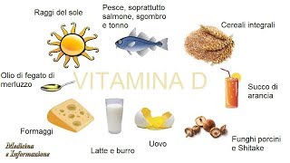 Vitamina D in quali alimenti si trova quando è importante integrarla [upl. by Evvie760]