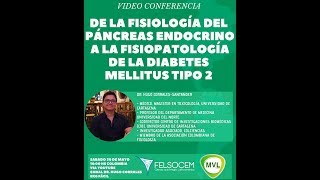 fisiología del páncreas endocrino y fisiopatología de la diabetes mellitus tipo 2 [upl. by Notlef210]