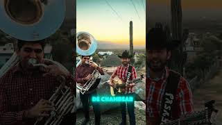 Hay Que Celebrar 🎉 corridos regionalmexicano musicamexicana motivacion [upl. by Yerdna]