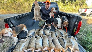 Hunting BIG SWAMP RABBITS with A PACK OF BEAGLES CATCH AND COOK [upl. by Paff]