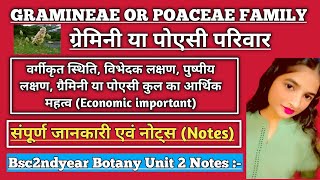 Gramineae Or Poaceae Family bsc 2nd year in hindi  ग्रेमिनी या पोएसी  संपूर्ण जानकारी एवं Notes [upl. by Stag]