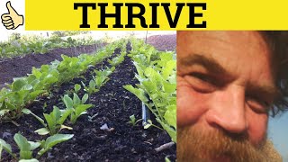 🔵 Thrive Thriving  Thrive Meaning  Thriving Examples  Thrive Definition  C2 English Vocabulary [upl. by Peer]