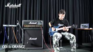 Marshall JVM 410H SOUND [upl. by Itirp]