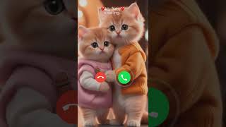 Mi telephone ringtone calling calls ringtone cats [upl. by Lunn]